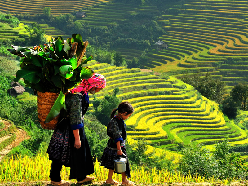 15 activities to discover Sapa for foreign tourists