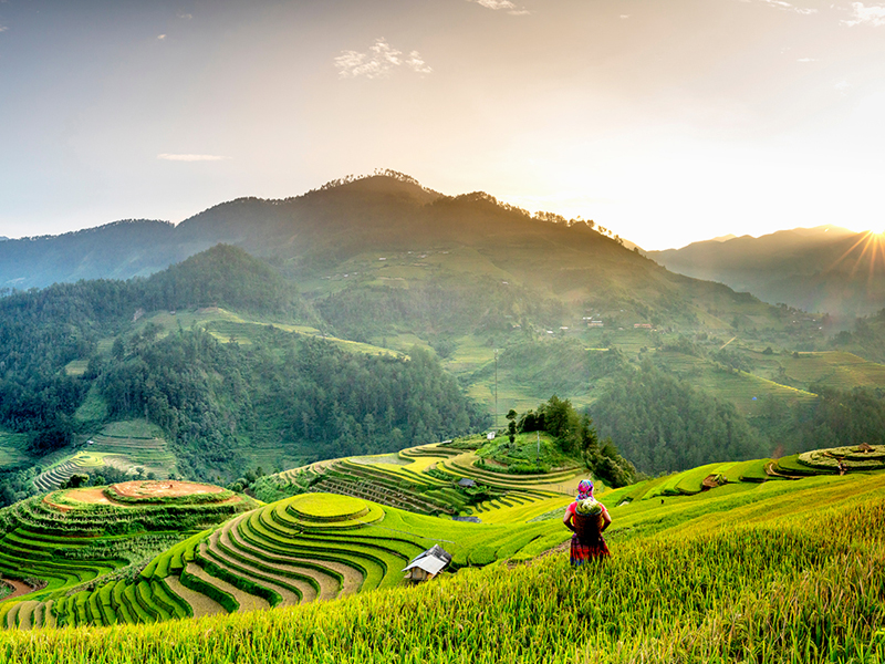 Mu Cang Chai's on top 50 most beautiful destinations in the world
