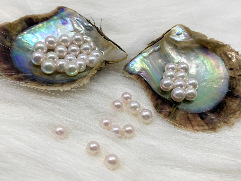 New revelation about Vietnam's sea pearls